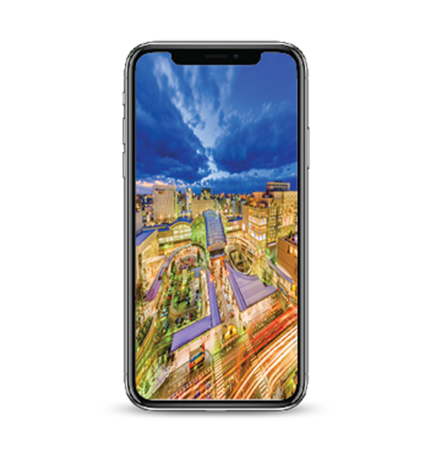 iPhone X